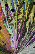 Microscope slide for polarized light, RESORCINOL