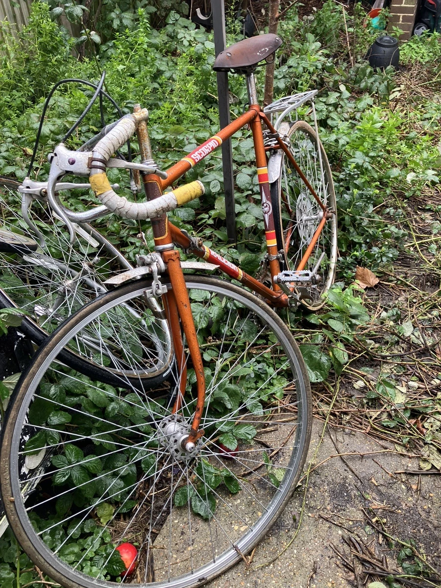 Raleigh Orange Bikes for sale | eBay UK