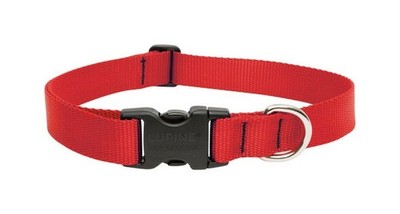 Lupine Pet 22552 Premium Woven Nylon Red Adjustable Dog Collar 12 to 20 in.