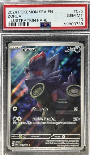 2024 Pokemon Shrouded Fable  ** ZORUA **  Illustration Rare  #75 💎 PSA 10 💎