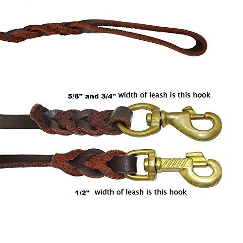 fairwin dog leash