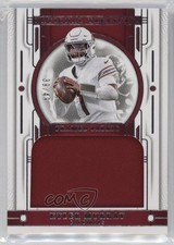 2023 Panini National Treasures Framed Fabric 39/49 Kyler Murray #FFA-KMY 3s8
