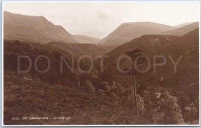 Grampians Berge Tal Sepia Ansicht Bäume Schottland Vintage Postkarte