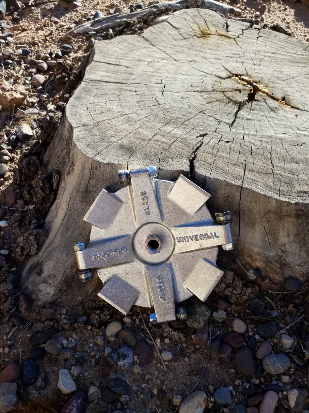 Low Cost Stump Grinding Blade for 9'' angle grinder, Stump Grinder and removal eBay