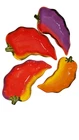 Clay Art La Mesa Jalapeno Pepper Dip Bowl Set 4 Hand Painted Serving Dishes