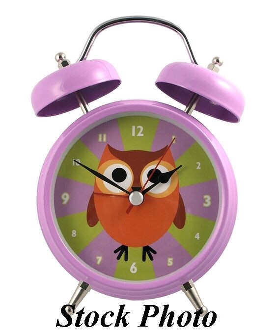 Talking Owl Alarm Clock by Streamline