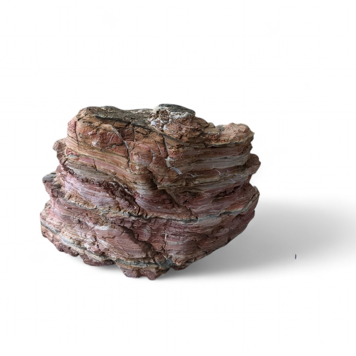 水石 鶴 自然石 Suiseki Viewing Stone Bonsai Ise Yoroi Stone