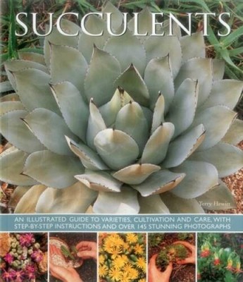 Succulents: An illustrated guide to varieties, cultivation and care, with - GOOD