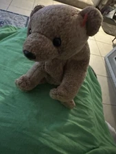 Ty Beanie Baby Pecan The Bear Plush Toy - 4251