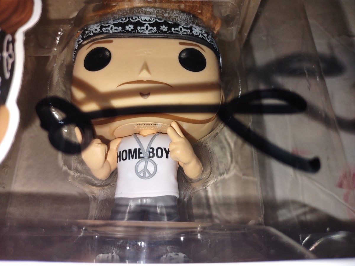 DONNIE WAHLBERG NKOTB NEW KIDS BOSTON SIGNED FUNKO POP VINYL TOY
