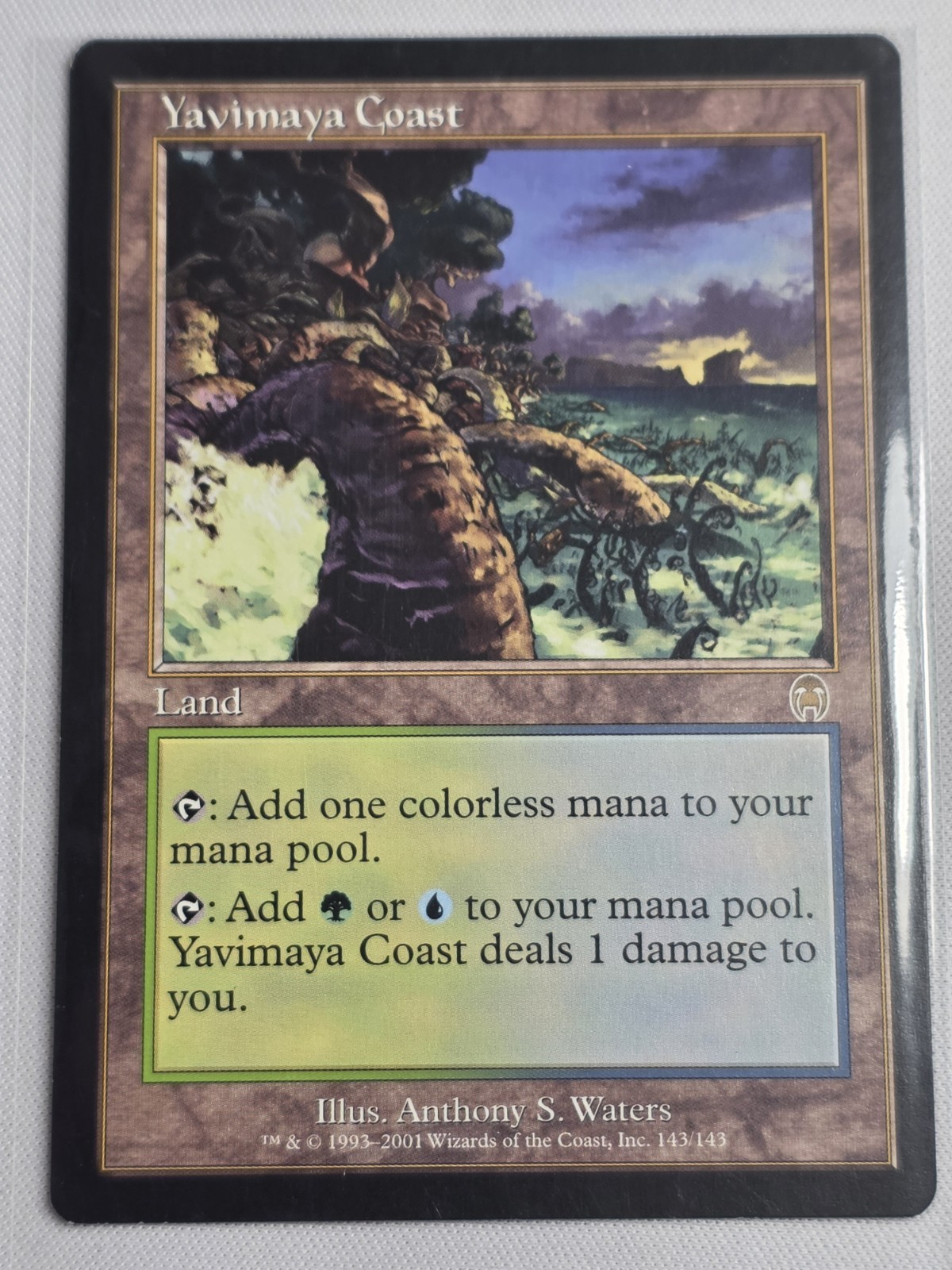 Yavimaya Coast - Apocalypse - Magic The Gathering NM 