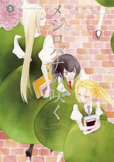 A White Rose in Bloom Vol. 3 by Asumiko Nakamura (Paperback Book)