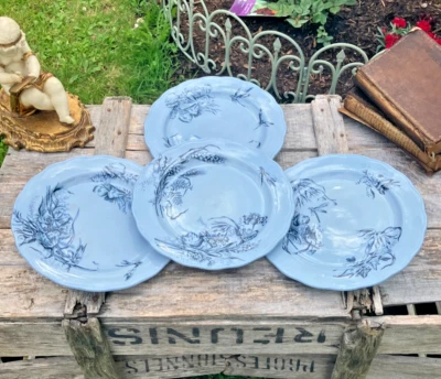 Assiettes plates - Creil et Montereau, Luneville ? - Terre de Fer - Libellule - Photo 1/4