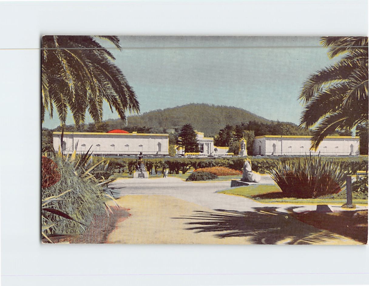 Postcard California Academy of Science Golden Gate Park San Francisco