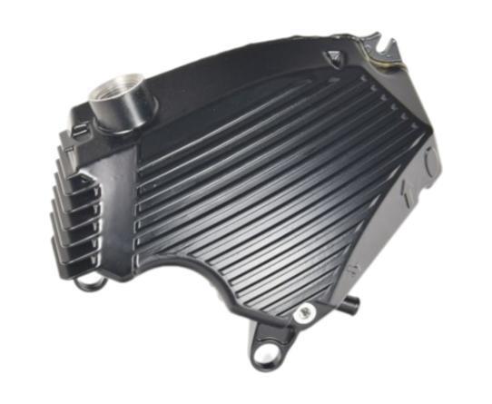 2006 BMW F650GS Engine Oil Tank Carrier 11437673650 for sale