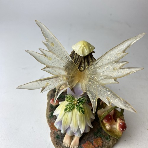 Faerie Glen ALVEBLOOM Woodland Mushroom Hedgehog Fairy FG893 - Picture 9 of 11
