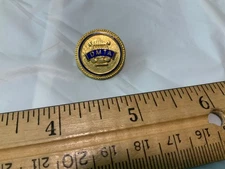 DMTA lapel pin