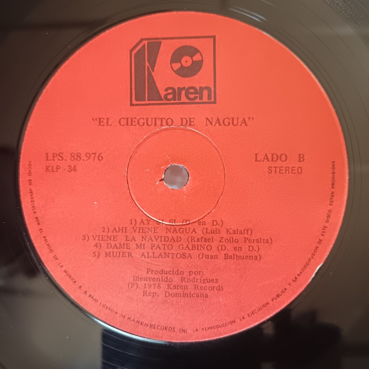 BANDA IMAGINARIA　AVE DE PAU　レコード　Latin BANDA IMAGINARIA AVE DE PAU レコード Latin 洋楽