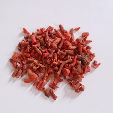 Natural Italian Red Coral Rough Lot Mediterranean Branch Sea Coral Reef Gemstone