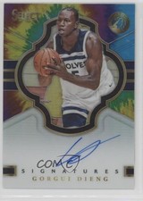 2017-18 Panini Select Signatures Tie-Dye Prizm /25 Gorgui Dieng #SIG-GO Auto 1p5