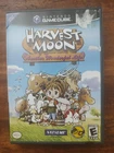 Harvest Moon: Another Wonderful Life (Nintendo GameCube, 2005)
