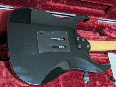 Ibanez RGR350ex