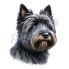 Cairn Terrier 8.5 x 11 🐶 Dog Portrait Glossy Photo Print 📷