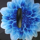 Bild 96 von 134
