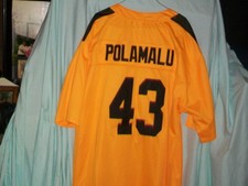 Troy Polamalu  Football Shirt Small Size