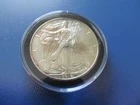 2019 $1 American Silver Eagle Brilliant Uncirculated