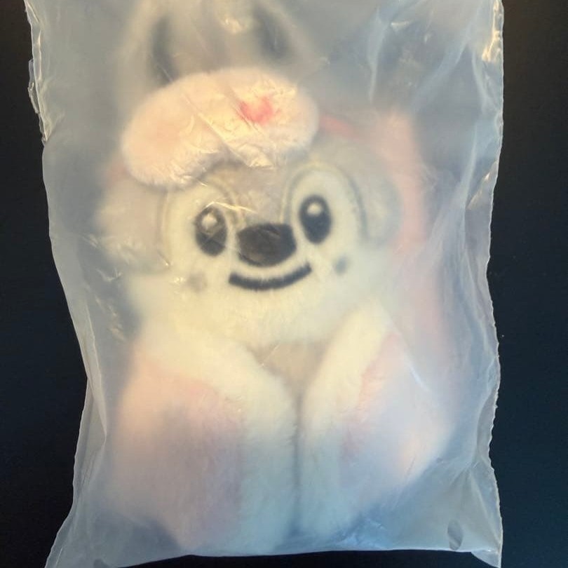 Stray Kids SKZOO 6TH FANMEETING PLUSH 10CM ver – Choose Member