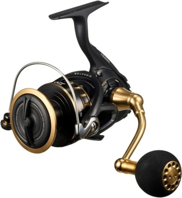Daiwa 23 BG SW 6000D-H Spinning reel JAPAN NEW | eBay