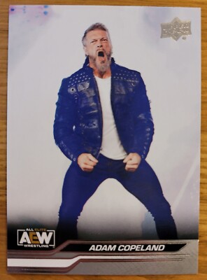 AEW 2024 Trading Cards, Upper Deck, Adam Copeland, Nr. 17