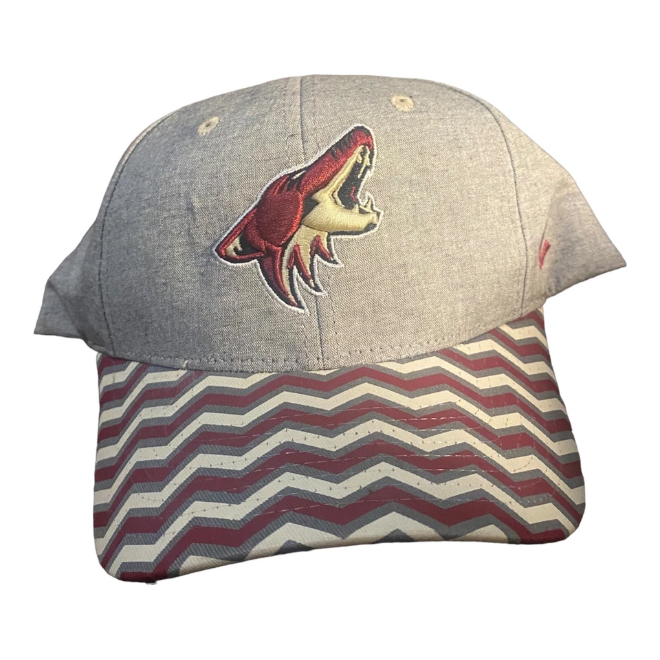 Arizona Coyotes NHL Zephyr Collectible Gray and White Striped Hat  - Image 3 of 4