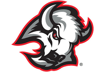 Buffalo Sabers Decal D2~ Vinyl Car Sticker - Wall, Small to XLarge