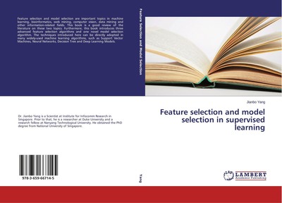 Feature selection and model selection in supervised learning Jianbo Yang