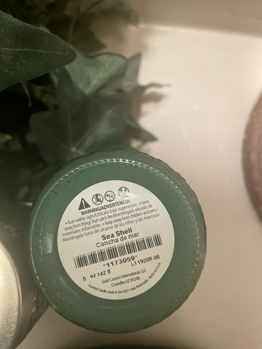 4-5oz Sea Shell - Gold Canyon Candles Any Other Fragrances ? NEW* - Picture 2 of 2