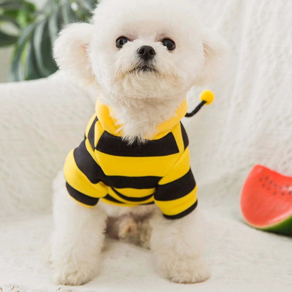 VETEMENTS Confezione 3 Vestiti Per Animali Domestici Con Cappuccio Sposo Cane Abbigliamento Felpa Con Cappuccio Costume