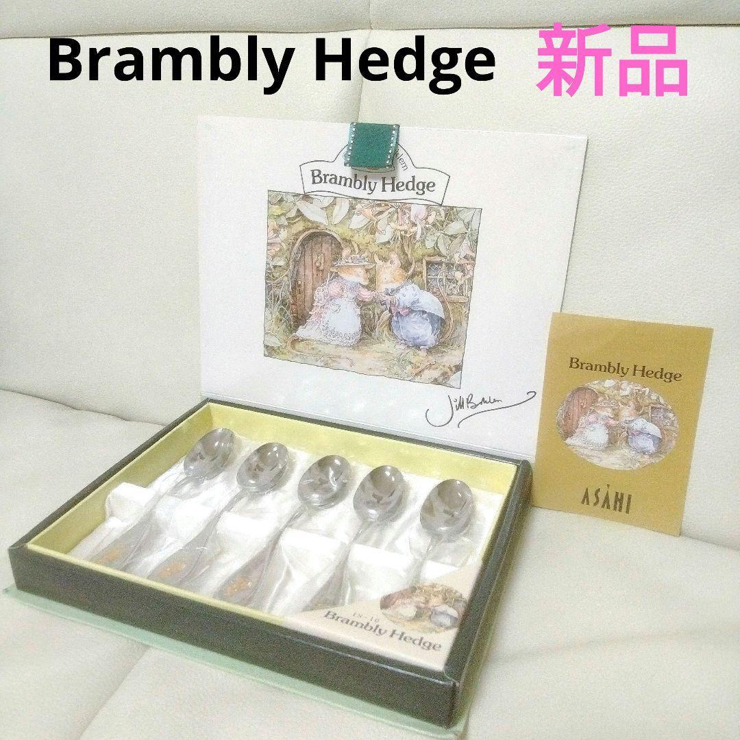 Brambly Hedge Spoon Teaspoon 5 Piece Set Silver Stainless Steel With Box Used
