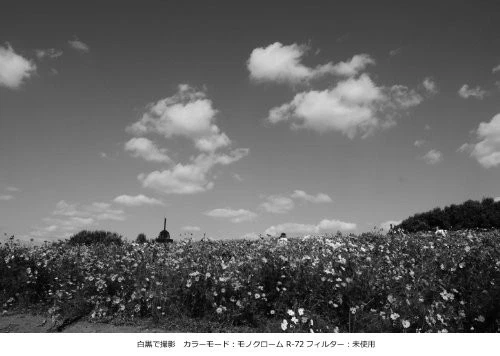 Kenko 77mm Pro1D R72 Digital Multi Coated Camera Lens Filters Japan - Image 4 of 4