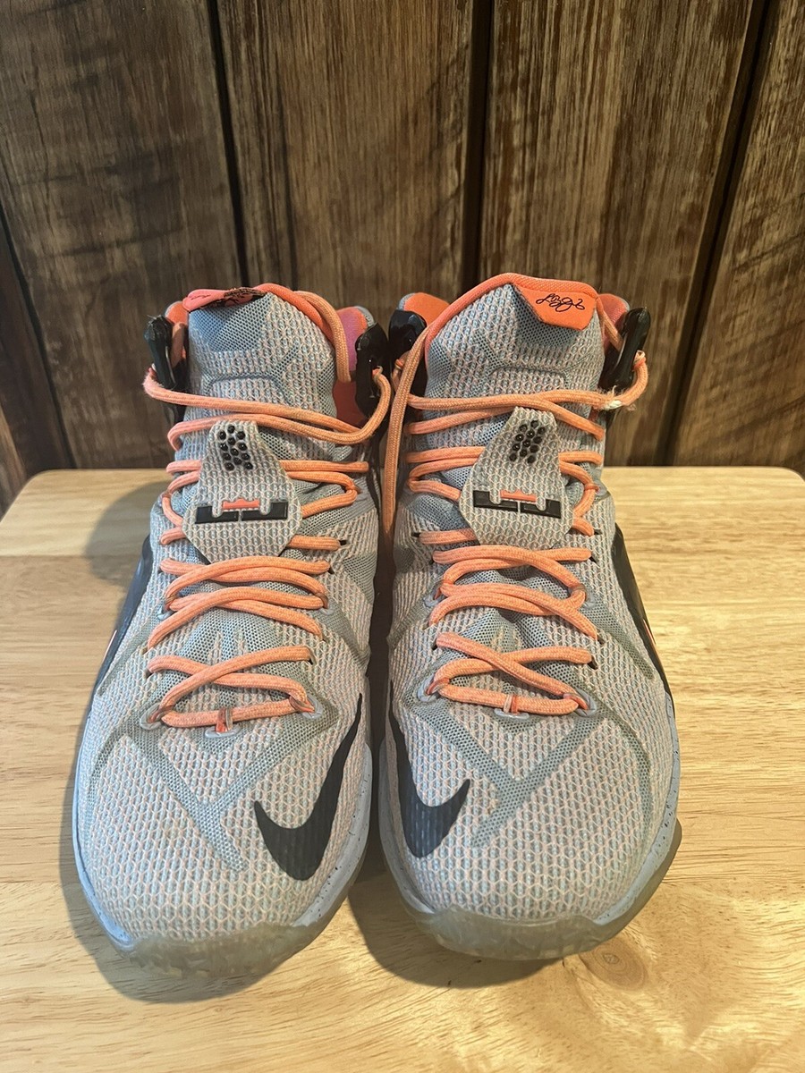 ナイキ Nike Lebron12 Easter 684593-488 29cm Nike LeBron 12 'Easter' 684593-488