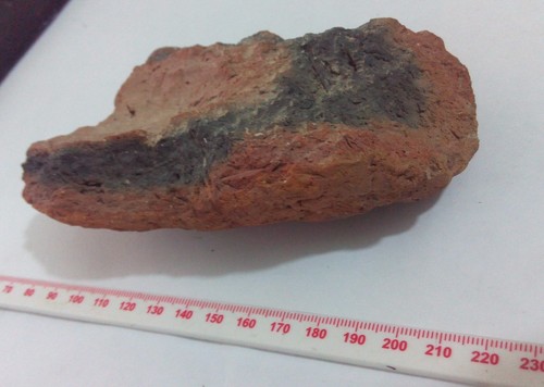 Massive Old Kingdom Amphora Pottery Shard - from Giza. - Picture 3 of 9