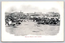 Postcard East London South Africa Morning Market