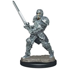 Premium Male Human Fighter D&D Miniature Dung...