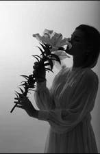 Fortress Income: A Guide to Investing in Bulletproof Dividend Stocks by Tony Hic