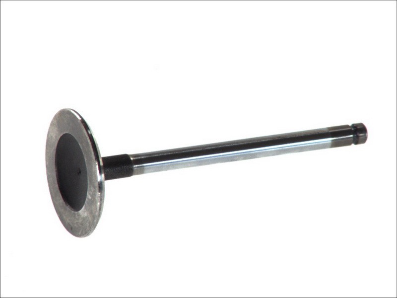 4x ✅Fits FRECCIA 4592/SCR Intake Valve 4592/SCR Intake valve (41,8x7 ⭐UK Seller⭐