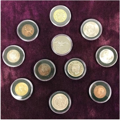 Collection Case for Silver Eagle & JFK Half Dollar, 100pcs