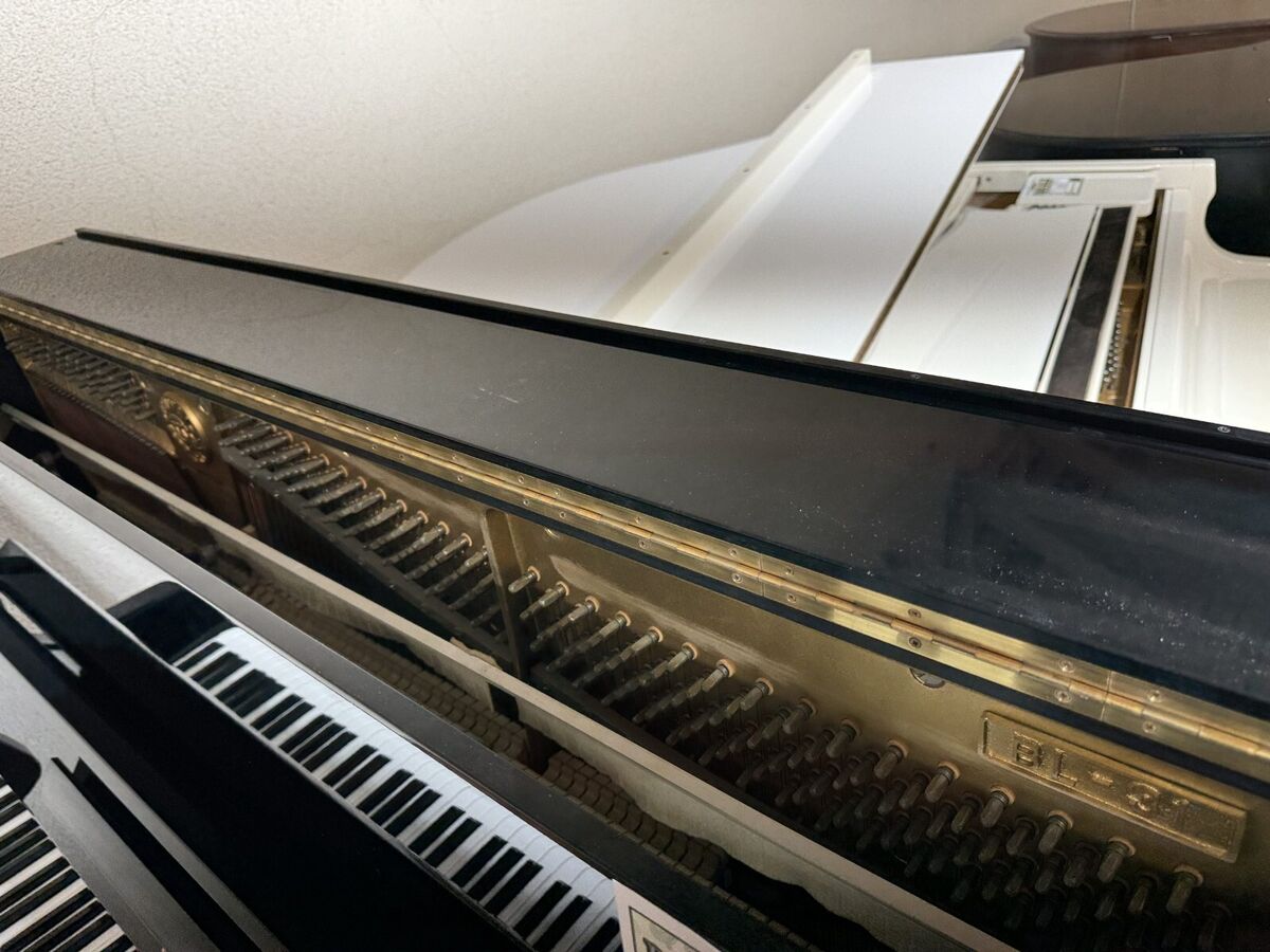Kawai BL-31 | eBay Kawai BL-31 | eBay