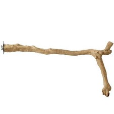 Prevue Pet Products 24" Y-Branch Coffea Wood Bird Perch