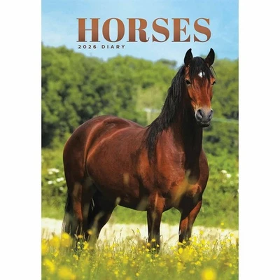 Carousel Calendars Horses A5 Diary 2026 NEW